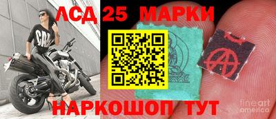 мдма Гудермес