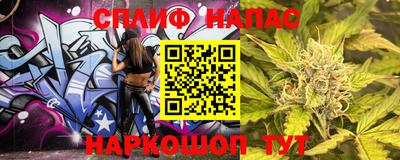 гидра Вышний Волочёк