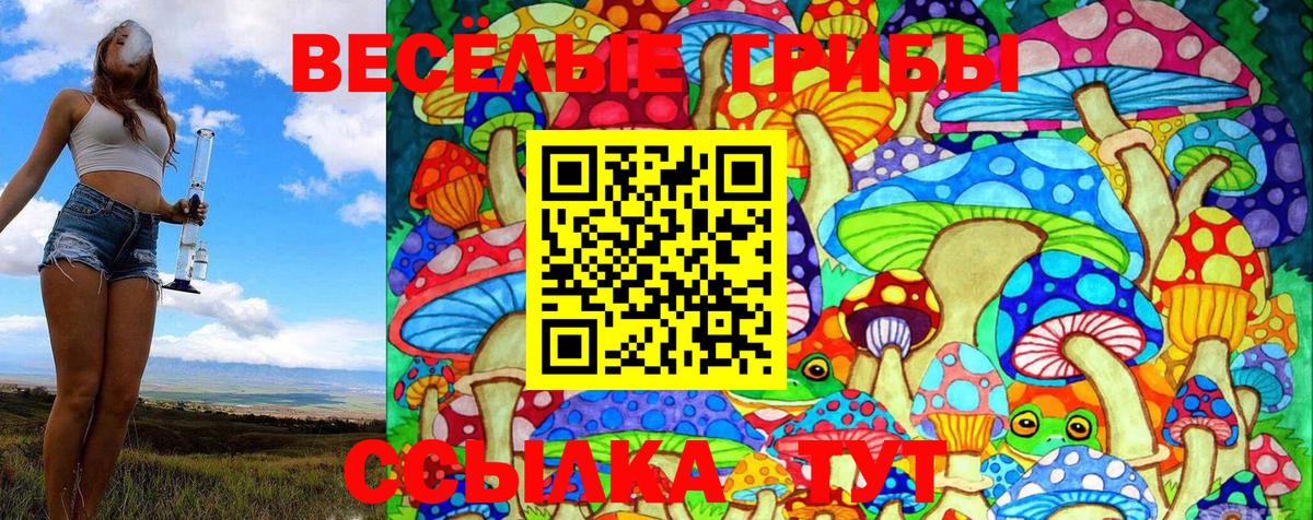 Псилоцибиновые грибы Psilocybine cubensis Кирово-Чепецк